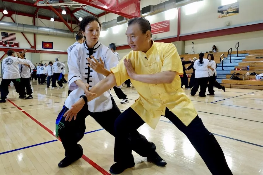 Tai-Chi-Push-Hands-GM-Da-Lu-1